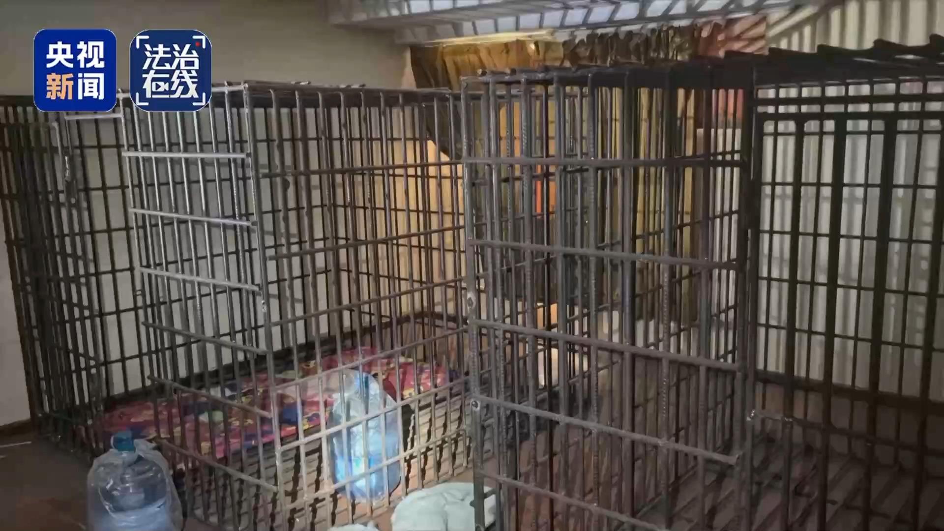 校園周邊禁售煙酒，違規(guī)店家已遭立案！